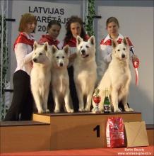 Белые овчарки Baltic Beauty