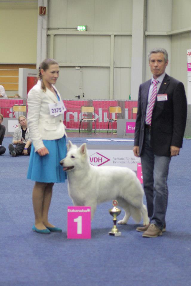 Baltic Beauty Crystal Siberian Wolf