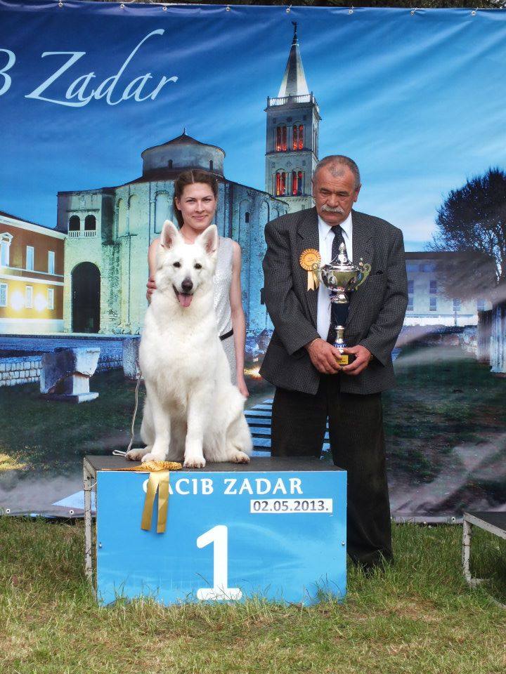 Baltic Beauty Crystal Siberian Wolf