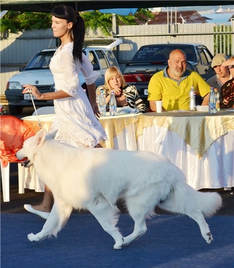 Baltic Beauty Defender Glorious