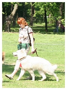 Baltic Beauty Endless Enchantment