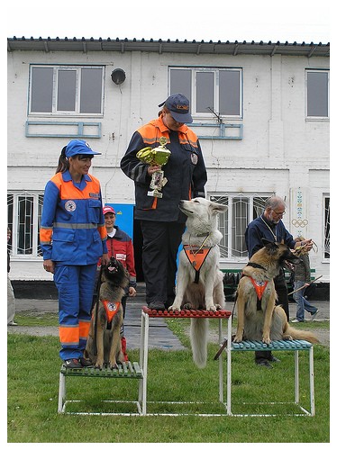 Only Win Baltic Beauty