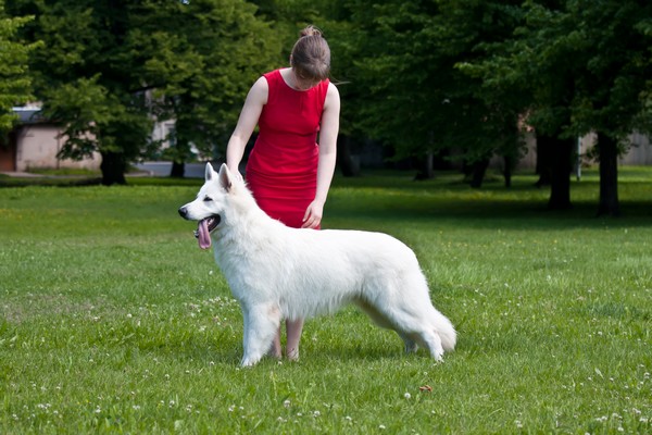 Baltic Beauty Invictus Roland